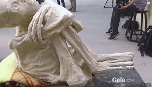 Image result for Nazca Mummy