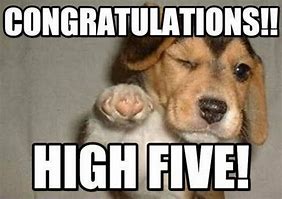 Image result for Congratulations You Are Awesome Meme