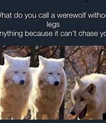 Image result for Wolf Jokes