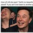 Image result for Most Beautiful On Earth Meme