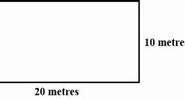 Image result for How Big Is 20 Meters