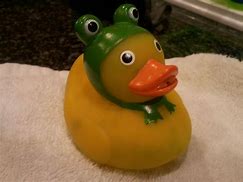 Image result for Rubber Duck Frog