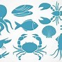 Image result for Octopus Vector Drawing