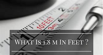 Image result for 1.8 Meters Tall