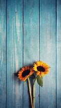 Image result for Hello Sunshine Sunflower Lock Screen