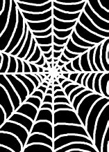 Image result for White Spider Web