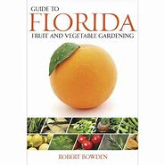Image result for Florida  vegetable