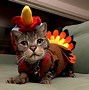 Image result for Thanksgiving Grumpy Cat Funny Memes