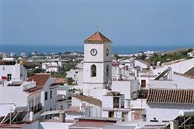 Image result for algarrobi