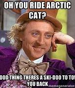 Image result for Arctic Cat Memes