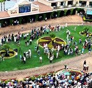 Image result for Arial View Horse Race