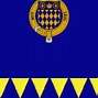 Image result for Bandera De Arecibo