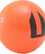 Image result for SwingBall Cricket