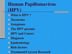 Image result for Human Papillomavirus Stages