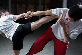 Image result for Martial Arts Showdown