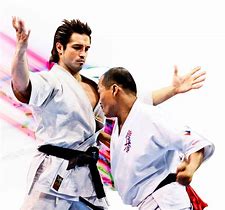 Image result for Japan Karate Cool Pictures