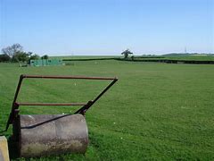 Image result for Cricket Farm