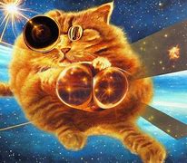 Image result for Cat Laser Crazy