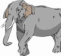 Image result for African Elephant Clip Art Free