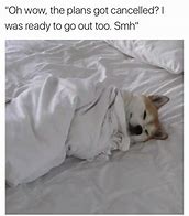 Image result for Animated Hilarious Sleep Meme