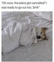 Image result for Best Sleep Meme