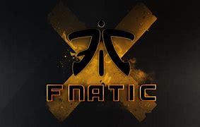 Image result for Fnatic CS GO