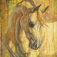 Image result for Horse Oil Paintings On Canvas