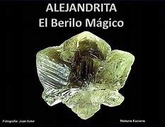 Image result for alejandrita