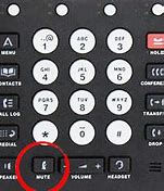 Image result for Avaya Telephone Mute Button