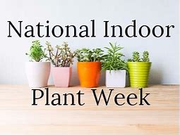 Image result for Indoor Plant Week