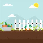 Image result for Vegetable Garden Cartoon
