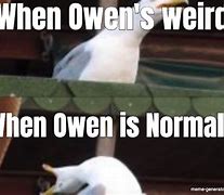 Image result for Kick Owen Meme