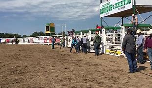 Image result for Wild Pony Race