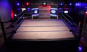Image result for Pro Wrestling Ring