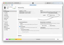 Image result for How to Connect iPhone 6 to iTunes