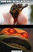 Image result for Excited Baby Turtle Meme