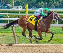 Image result for Horse Racer