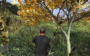 Image result for DayZ Apple Tree