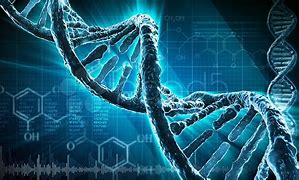 Image result for STR Example Genetic