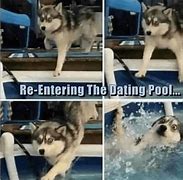Image result for The Dating Pool After 35 Meme