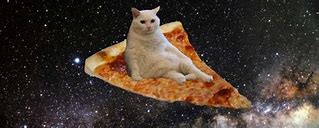 Image result for Cat Stealing Pizza Meme