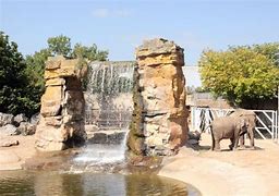 Image result for Chester Zoo Red Phone Box