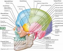 Image result for Jawbone Medical