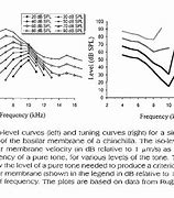 Image result for Psychoacoustic Tuning Curve