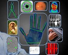 Image result for Fingerprint Authentication Technology