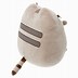 Image result for Claire's Pusheen