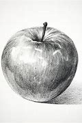 Image result for Line Drawing of an Apple