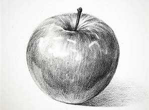 Image result for Apple Drawing Pencil Sketch
