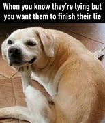 Image result for Doubtful Dog Meme Face