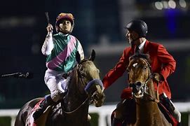 Image result for Silver Charm Dubai World Cup